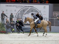 ref. photo 3897985