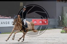 ref. photo 3897988