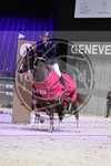 ref. photo 3898009