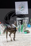 ref. photo 3898028