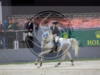 ref. photo 3898118