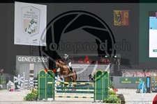 ref. photo 3898120