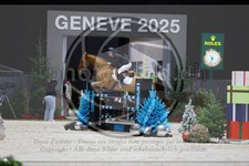 ref. photo 3898123