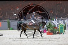 ref. photo 3898154