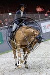 ref. photo 3898179