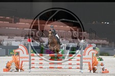 ref. photo 3898180