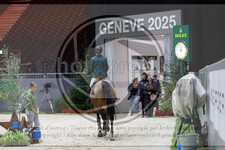 ref. photo 3898273