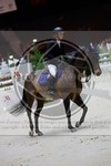 ref. photo 3898283