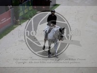 ref. photo 3898581
