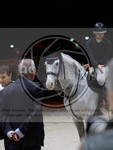 ref. photo 3898599
