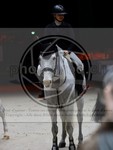 ref. photo 3898602