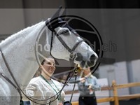 ref. photo 3898613