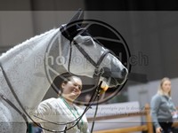 ref. photo 3898615