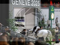 ref. photo 3898651
