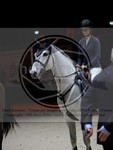 ref. photo 3898679