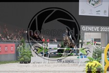 ref. photo 3898714