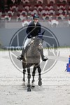 ref. photo 3898747