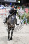 ref. photo 3898749