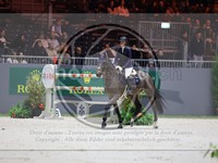 ref. photo 3898755