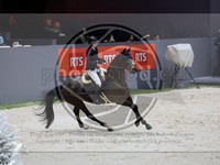 ref. photo 3898801