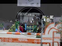ref. photo 3898894