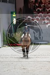 ref. photo 3898899
