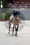 ref. photo 3898902
