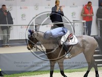 ref. photo 3898932