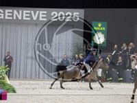ref. photo 3898988
