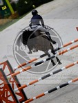 ref. photo 3899066
