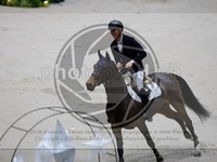 ref. photo 3899072