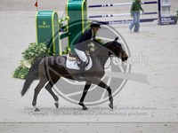ref. photo 3899075