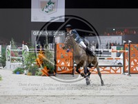 ref. photo 3899106
