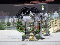 ref. photo 3899128