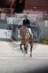 ref. photo 3899262