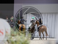 ref. photo 3899282