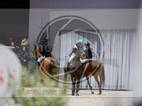 ref. photo 3899283