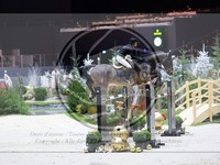 ref. photo 3899293