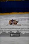 ref. photo 3405070