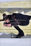 ref. photo 3408957