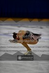 ref. photo 3409891