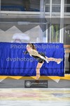 ref. photo 3410152