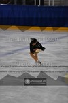 ref. photo 3905620