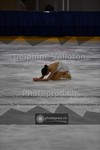 ref. photo 3907898