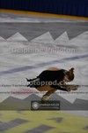 ref. photo 3910181