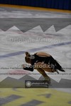 ref. photo 3910182