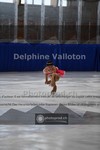 ref. photo 3888354