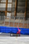 ref. photo 3888397