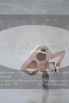ref. photo 3014256