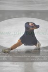ref. photo 3016651